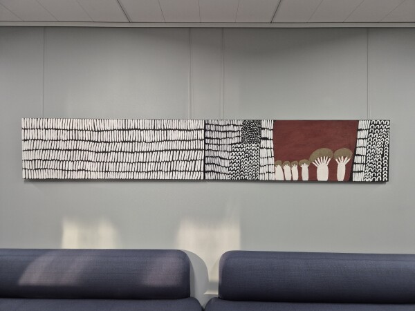 Jimbirla ngarranggarni (spearhead dreaming)